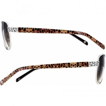 Sugar Shack Sunglasses A1209A sunglasses Brighton