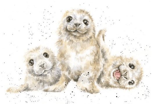 Seal Of Approval Card Card wrendale designs