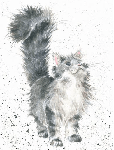 Lady Of The House Card Card wrendale designs