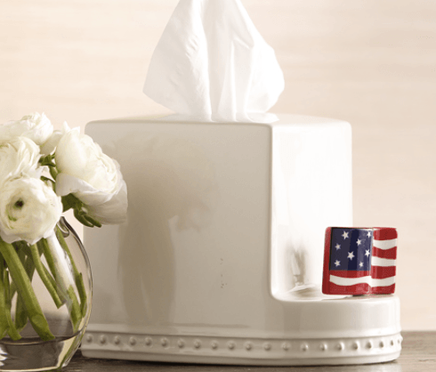 Stars & Stripes Forever A18 mini Nora Fleming