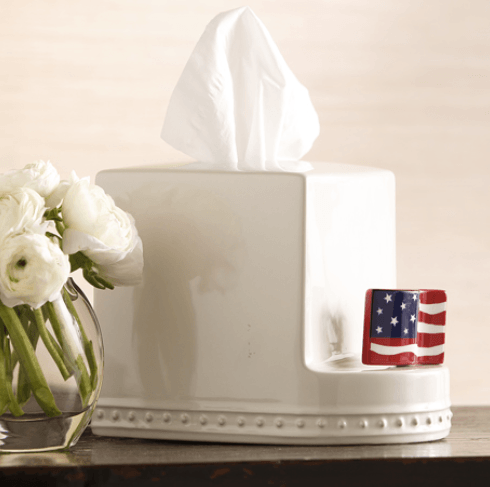 Stars & Stripes Forever A18 mini Nora Fleming