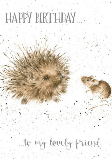 Lovely Friend Birthday Card cards wrendale designs