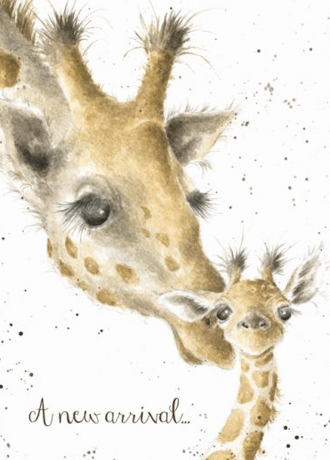 A New Arrival New Baby Card cards wrendale designs