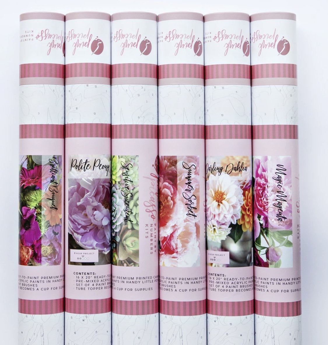 Pink Picasso Paint by Number Kit - Magic Magenta PPK-1620MA gift Pink Picasso