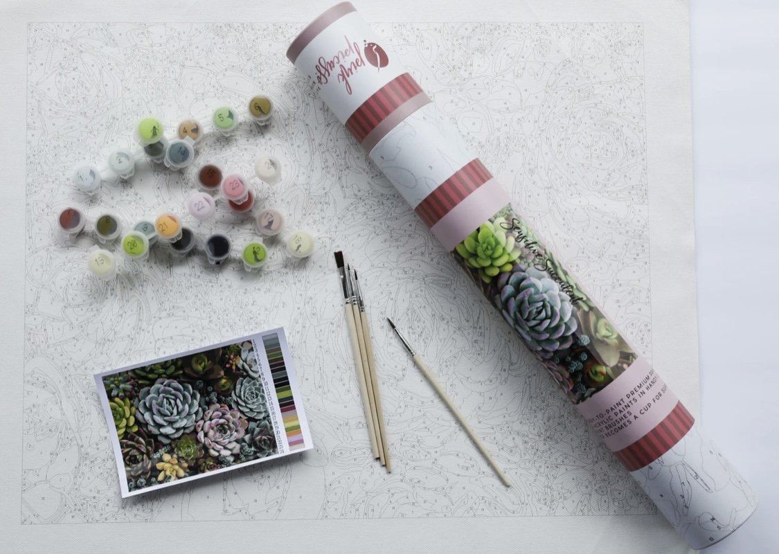 Pink Picasso Paint by Number Kit - Sensitive Succulent PPK-1620SE gift Pink Picasso