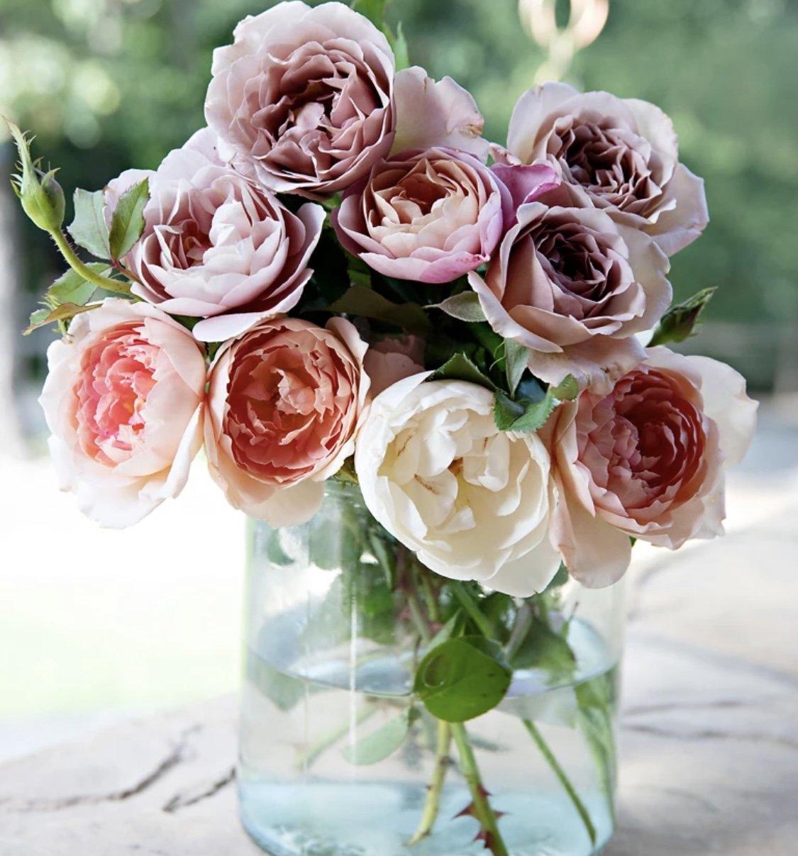 Pink Picasso Paint by Number Kit - Mail Me Roses PPK-1620MMR gift Pink Picasso