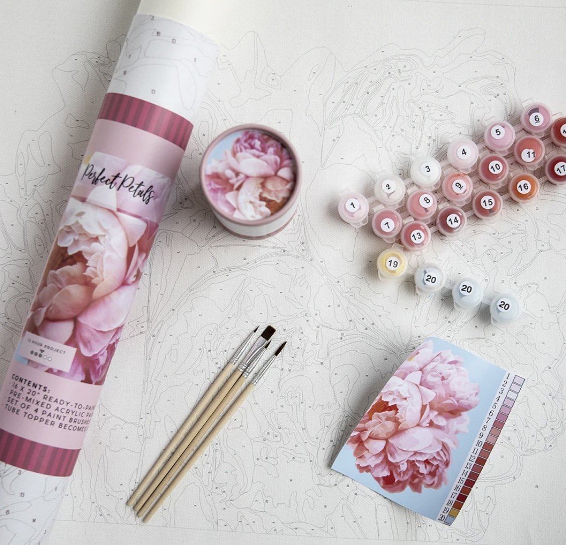 Pink Picasso Paint by Number Kit - Magic Magenta PPK-1620MA gift Pink Picasso