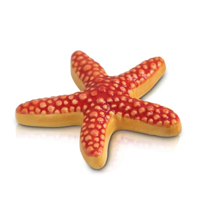 Sea Star Mini