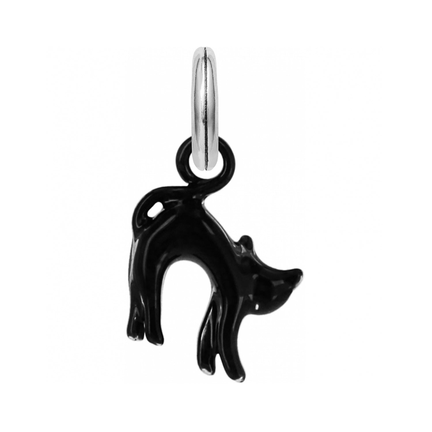 Scaredy Cat Charm