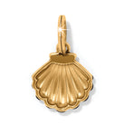 Twilight Waters Shell Charm