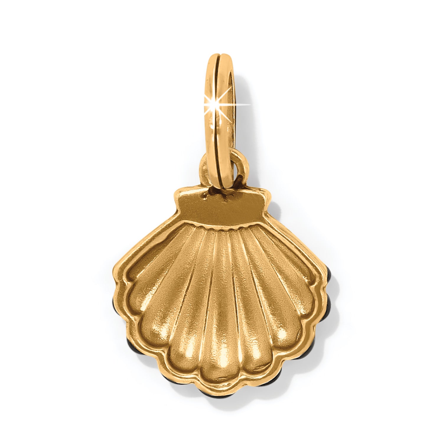 Twilight Waters Shell Charm