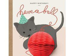 Happy Birthday! Have a ball cards Johnathan Michael's Boutique 