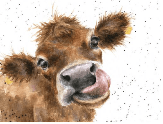 Mooooo Card Card wrendale designs 