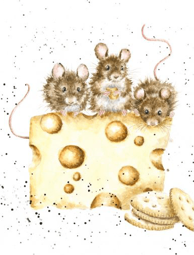 Crackers About Cheese Card Card wrendale designs 