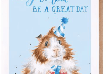 Guinea Be A Great Day Birthday Card cards wrendale designs 