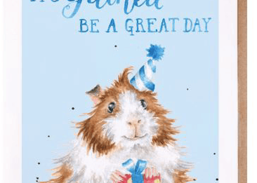 Guinea Be A Great Day Birthday Card cards wrendale designs 