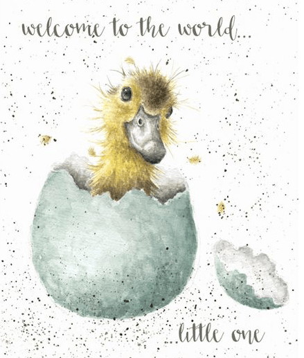 Little One New Baby Card cards wrendale designs 