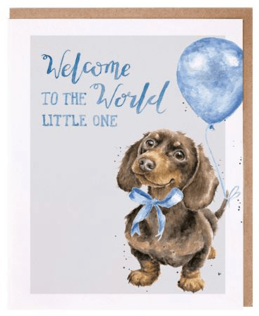 Precious Little One New Baby Card cards wrendale designs 