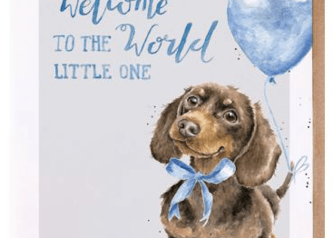 Precious Little One New Baby Card cards wrendale designs 