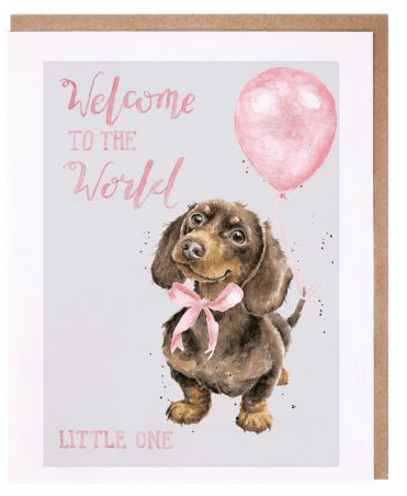Precious Little One New Baby Card cards wrendale designs 