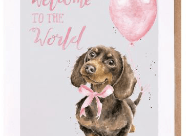 Precious Little One New Baby Card cards wrendale designs 