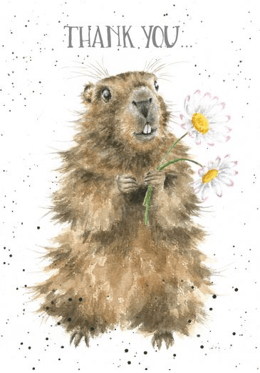 Thank You Card cards wrendale designs 