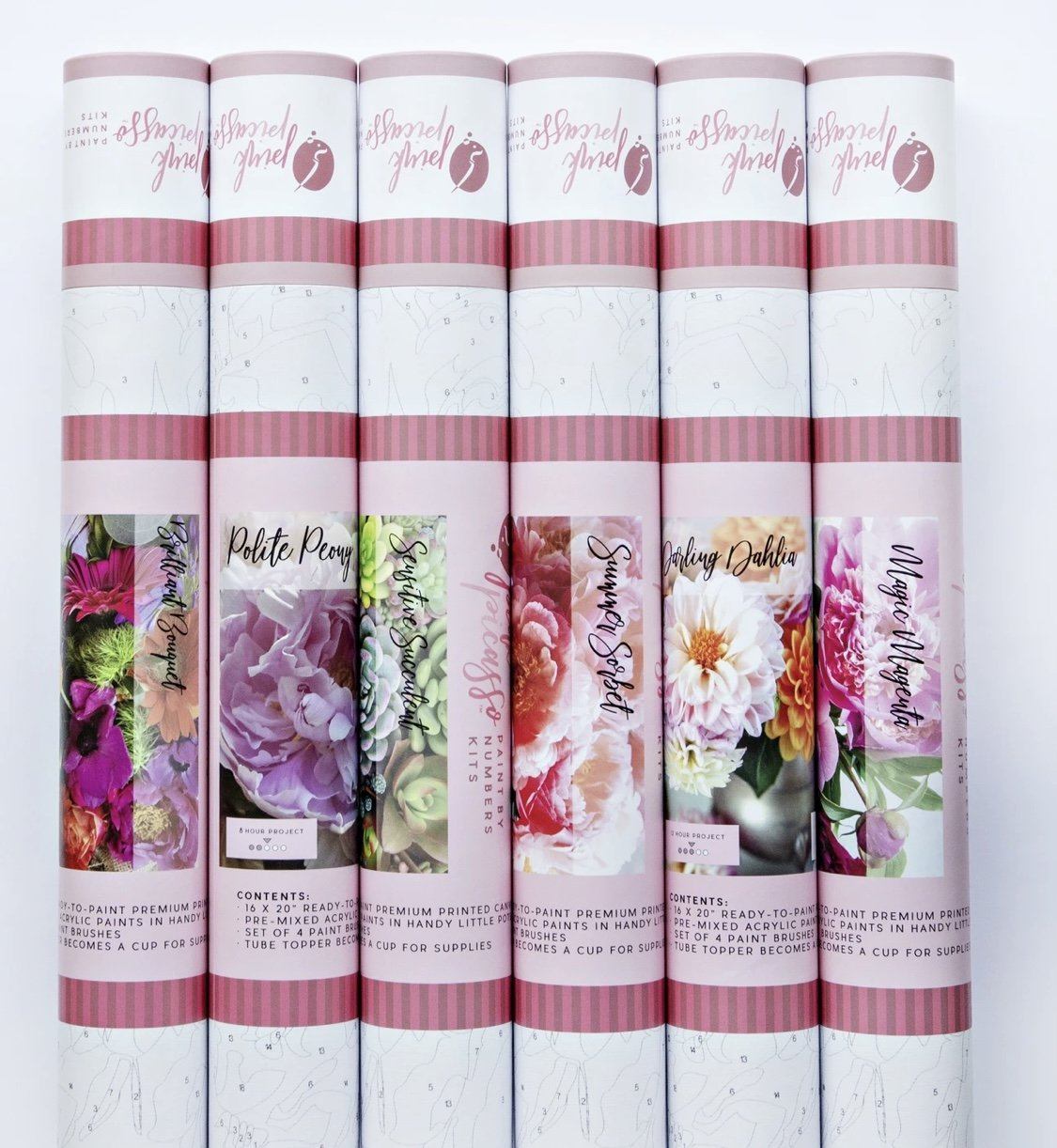 Pink Picasso PAINT BY NUMBERS KIT, Darling Dahlia Flowers, New in Tube