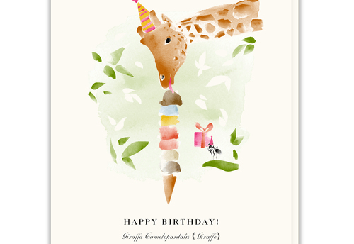Giraffe with Ice Cream Cone Card driscole design 