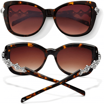 Alcazar Sunglasses A12937 sunglasses Brighton 