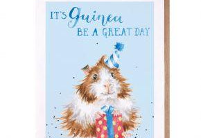 'Guinea be a Great Day' Birthday Card cards wrendale designs 
