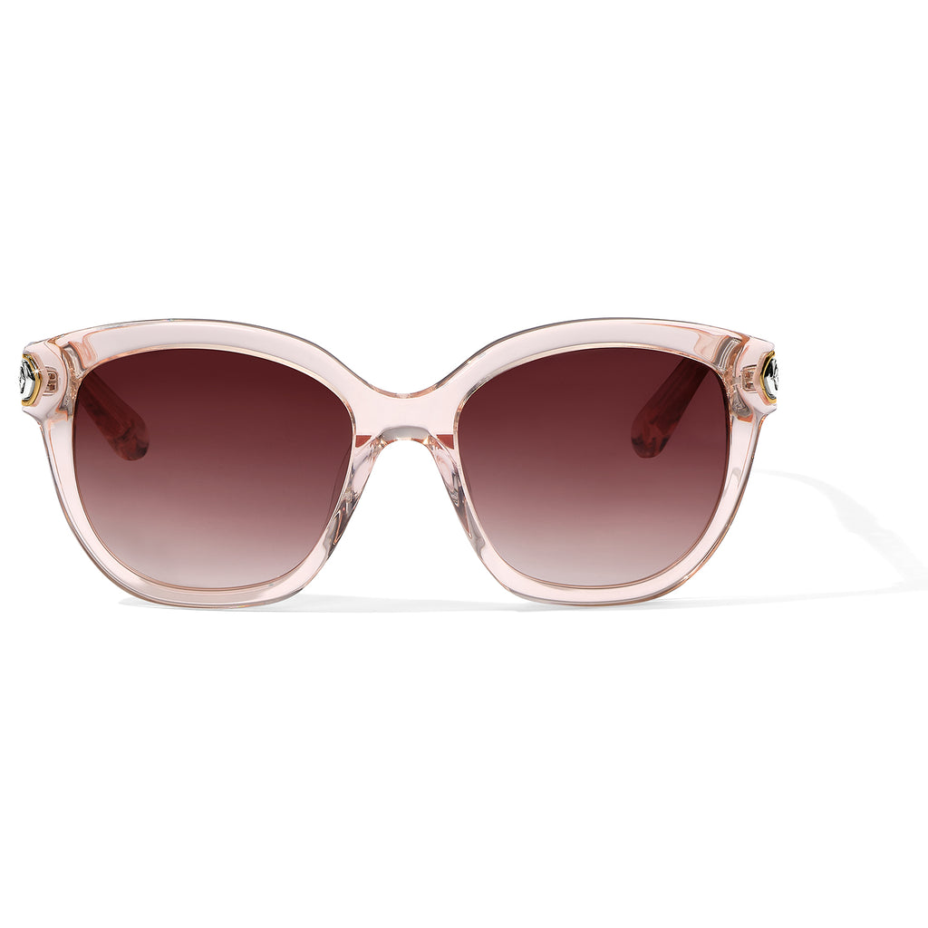 Intrigue Rosewater Sunglasses - A13230
